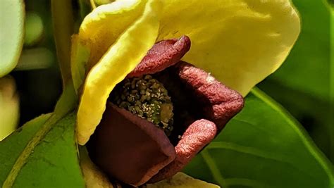 A World Of Endangered Animals 2025 𝚆𝚊𝚝𝚌𝚑 Free Episodes
